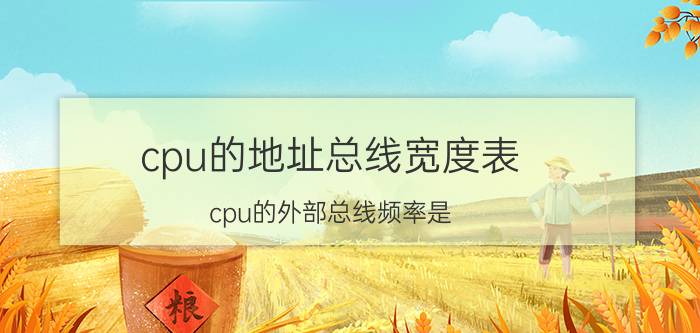 cpu的地址总线宽度表 cpu的外部总线频率是？